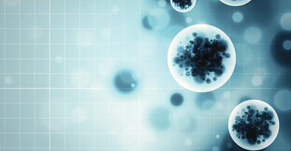 吞噬细菌且防御疾病!白细胞对人体的3大作用揭秘