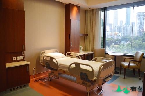 马来西亚试管婴儿医院推荐