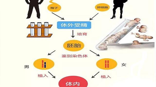 深圳北大三代试管婴儿指南：流程、成功率、费用这里都有