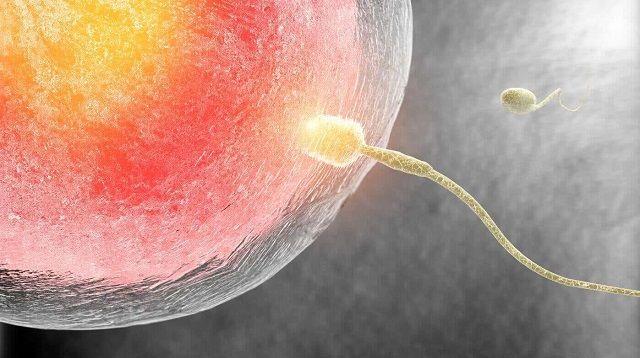 做二代试管精子卵子不结合是精子有问题吗？