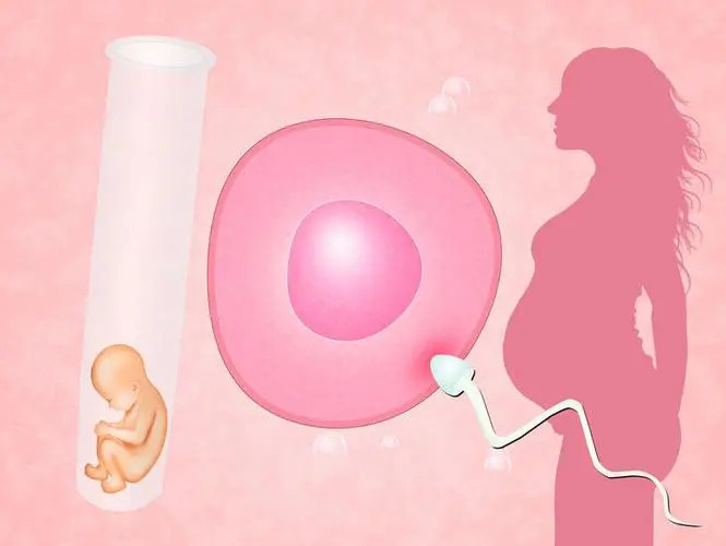 预估高龄卵巢早衰试管成功率！最新分享2024成功案例经验