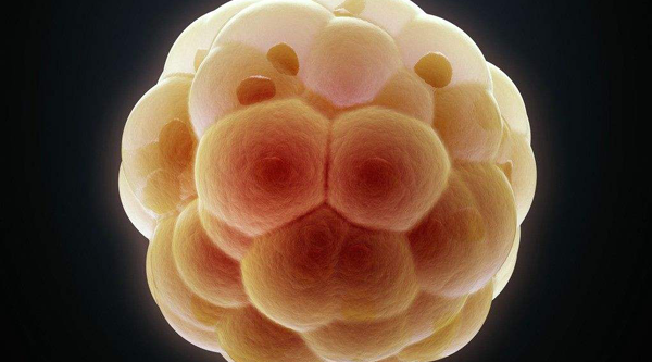 泰国移植6ac囊胚,猜测结果不如了解,助孕过程更放心