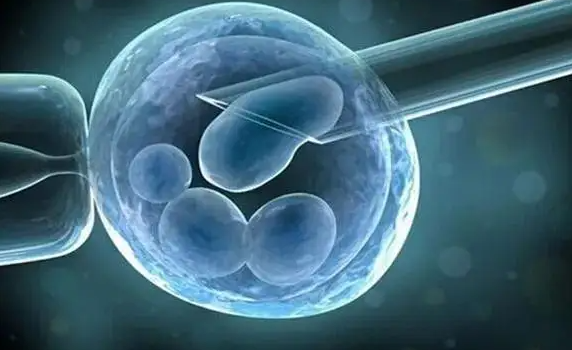 什么是试管婴儿胚胎种植窗口期？