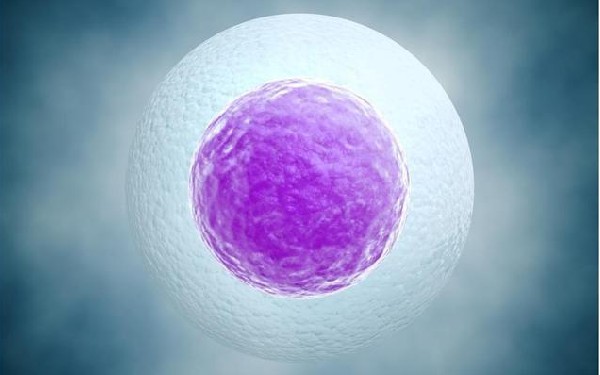 美国试管婴儿冻卵冻胚技术有什么优势？美国冻卵流程