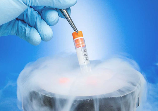 冷冻胚胎对胚胎的影响