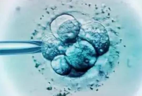 2024年吉大二院做试管婴儿冻胚移植一次大概费用要多少钱?