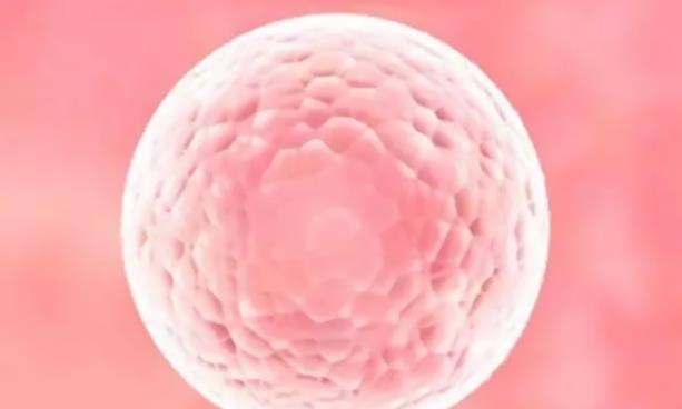 取3个卵泡做试管婴儿可以成功配型多少个胚胎？