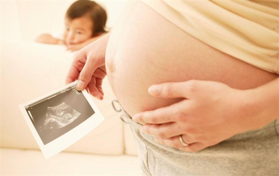 什么时候怀孕生马宝宝？2026年江南app平台下载
马宝宝最佳月份推荐