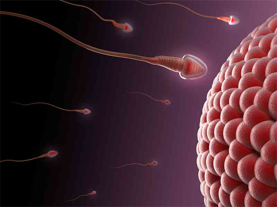 想生男孩男性禁欲多久最好？附提高精子质量的最佳方法