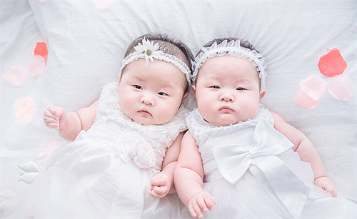 马年宜生子的属相是什么？2026马年宜生子的属相介绍