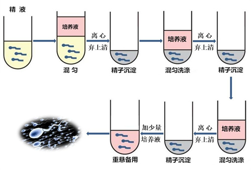 精子不液化能否试管助孕？附男方精子不液化对试管的影响