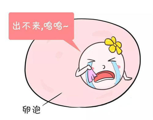 2025湖南冻卵费用大约多少？列举最完整湖南冻卵医院排名
