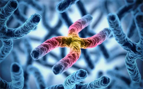 整理2025西安较厉害的生殖中心排行榜！为你的助孕之路提供参考