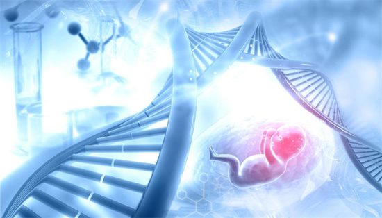 2025年做试管可以移植别人胚胎吗？试管移植胚胎的种类有哪些