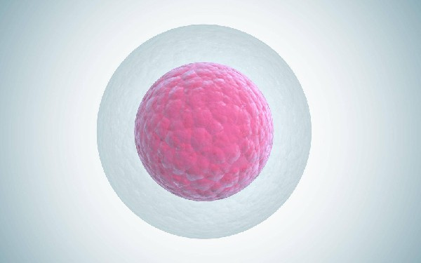 试管4个胚胎是冷冻还是养囊？养囊和冻胚哪个好（含优缺点）