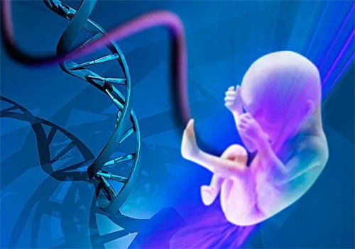 供精试管比供精人授贵多少钱？解析2025供精试管助孕流程和费用