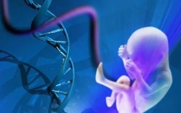 2025武汉第三代试管助孕费用构成！附武汉三代试管生男孩医院名单