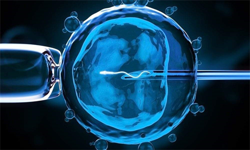 分析第三代试管婴儿的取卵数量！三代试管取卵10个够用吗