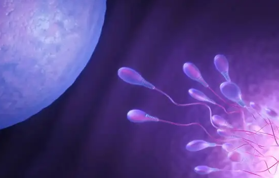 试管婴儿养囊成功率影响因素有很多？大多离不开这3点，重点