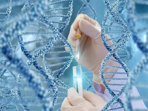 为什么试管婴儿养囊第6天才成功？或与精卵子质量差有关