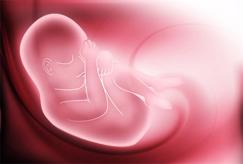 剖析高龄试管婴儿不易成功的原因！子宫问题才是主要因素