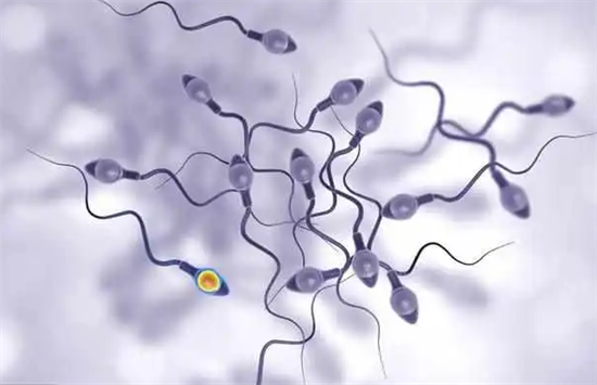 少弱畸精子症做二代试管能成功吗？分析为什么做二代试管成功率高