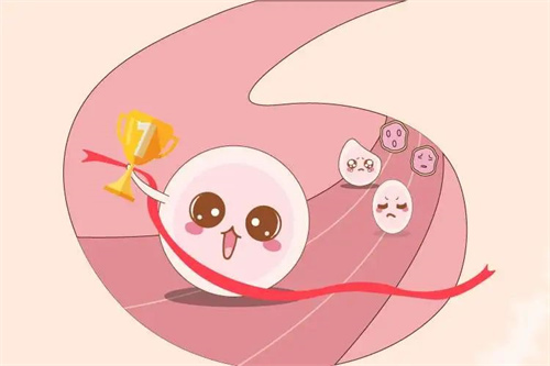 国内有哪些做供卵试管婴儿的机构？2025年怎么选择试管供卵机构