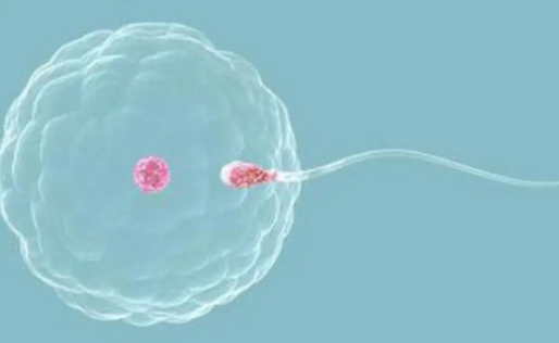 国内冷冻精子的手续是什么？附冷冻精子的具体流程介绍