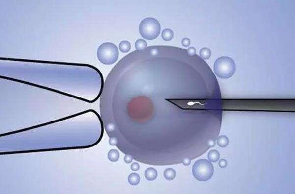 如何判断囊胚着床成功？试管婴儿囊胚着床成功有什么症状吗