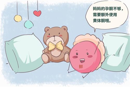 试管冻胚解冻后会不会影响移植成功率？哪些因素对冻胚着床至关重要