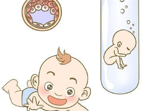 泰国试管移植冻胚还是囊胚好？对比泰国试管移植冻胚和囊胚的区别