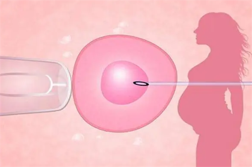 试管婴儿卵泡提前排出怎么处理？卵泡提前排出能不能取卵