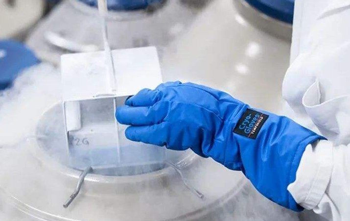 影响试管胚胎7细胞15碎片的因素！如何提高试管胚胎的质量