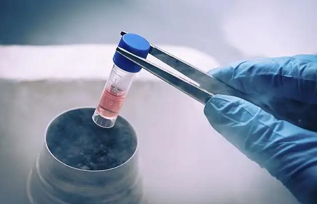 试管降调针为什么这么贵？解析试管婴儿降调针昂贵的原因