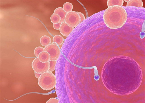 试管婴儿精子洗涤有哪些方法？详解做试管精子洗涤的作用