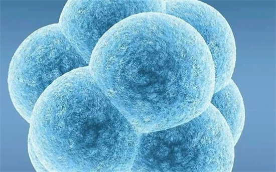 试管移植4aa囊胚成功率高不高？移植4aa囊胚一般几天着床