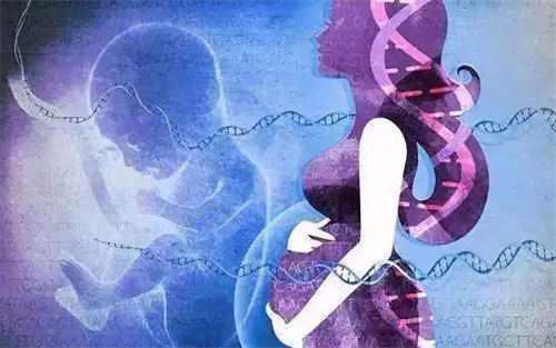 试管婴儿取卵后卵巢多久恢复？取卵一个多月卵巢部位疼怎么办
