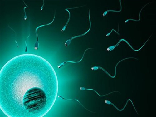 剖析7个胚胎只养成一个囊胚的原因！试管养囊失败应该怎么办