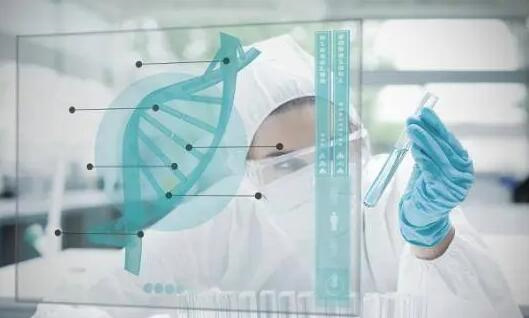 2025年混血试管婴儿的费用解析！附混血试管婴儿的优点和缺点