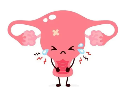 始基子宫做试管婴儿的方式说明！始基子宫做试管婴儿需要什么条件