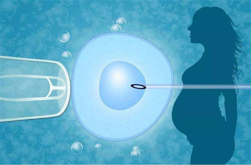 2025年武汉试管婴儿医院哪家好？武汉成功率最高的试管医院是哪家