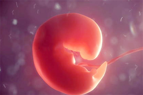 试管养囊5天6天7天有什么区别？做试管婴儿选择哪种囊胚移植好