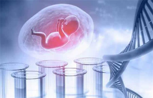 2025做二代试管婴儿费用要多少？二代试管助孕的费用明细