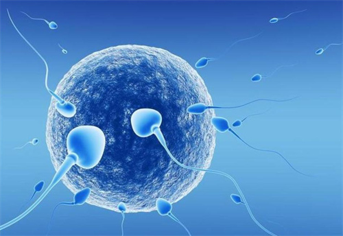 弱精选择做几代试管婴儿好？附一代试管和二代试管之间的区别