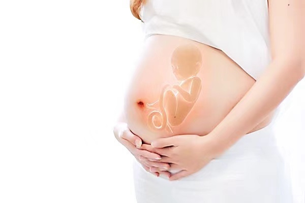 4级胚胎养囊的成功率是多少？附影响试管婴儿养囊成功的因素