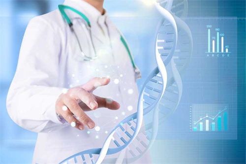 试管冻胚养成囊胚的成功率多少？附影响冻胚养囊的关键因素