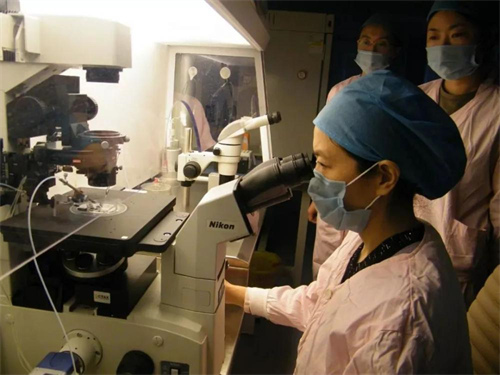 邯郸试管婴儿最好的医院是哪家？2025邯郸试管婴儿医院推荐