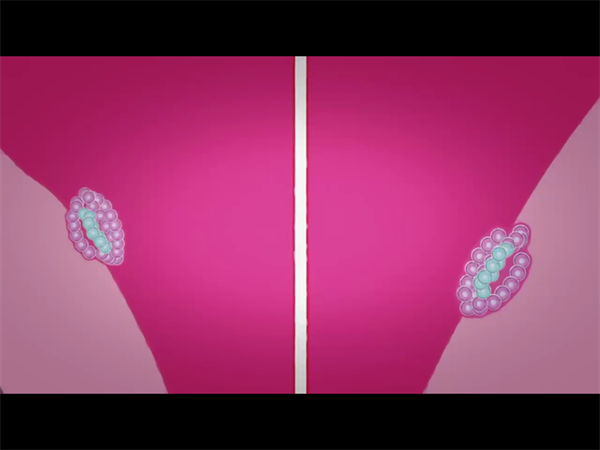 绝经试管婴儿怎么做？女性绝经做试管婴儿的全流程解读