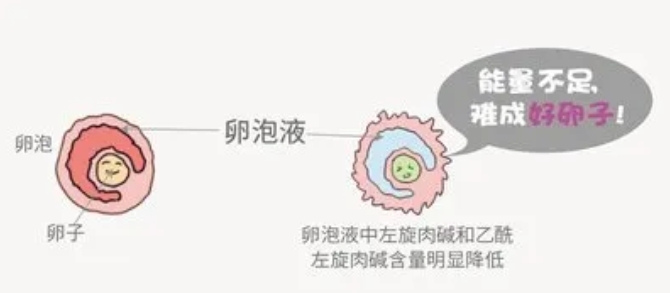 宫腔粘连怀孕后可能遇到的问题