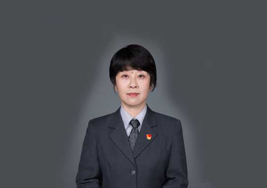 彭宇洪插图